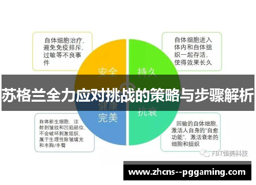 苏格兰全力应对挑战的策略与步骤解析 苏格兰全力应对挑战的策略与步骤解析