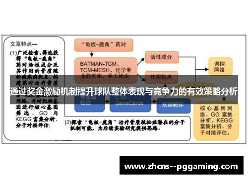 通过奖金激励机制提升球队整体表现与竞争力的有效策略分析