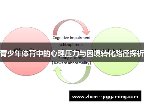 青少年体育中的心理压力与困境转化路径探析